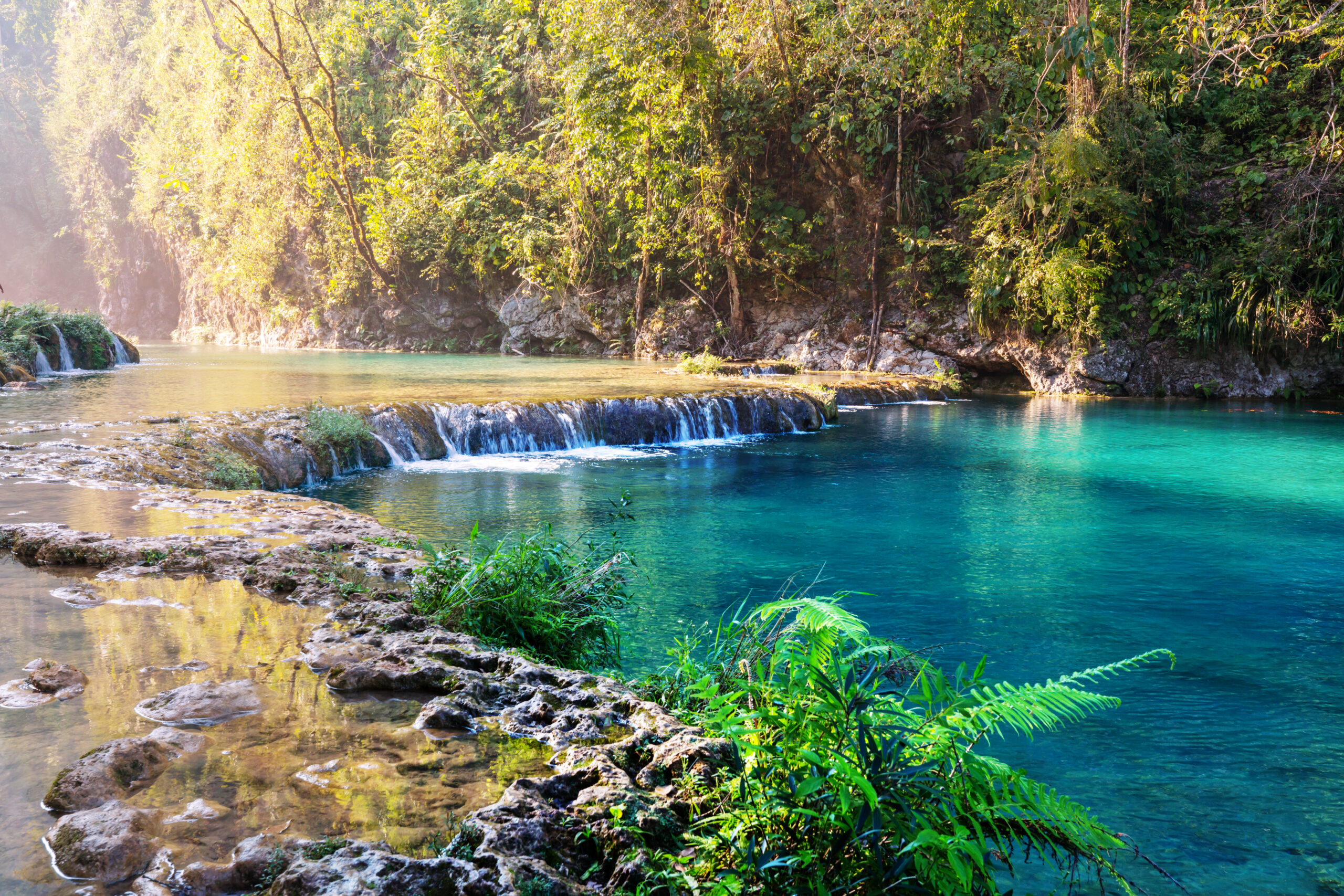 A serene natural pool surrounded by lush green trees