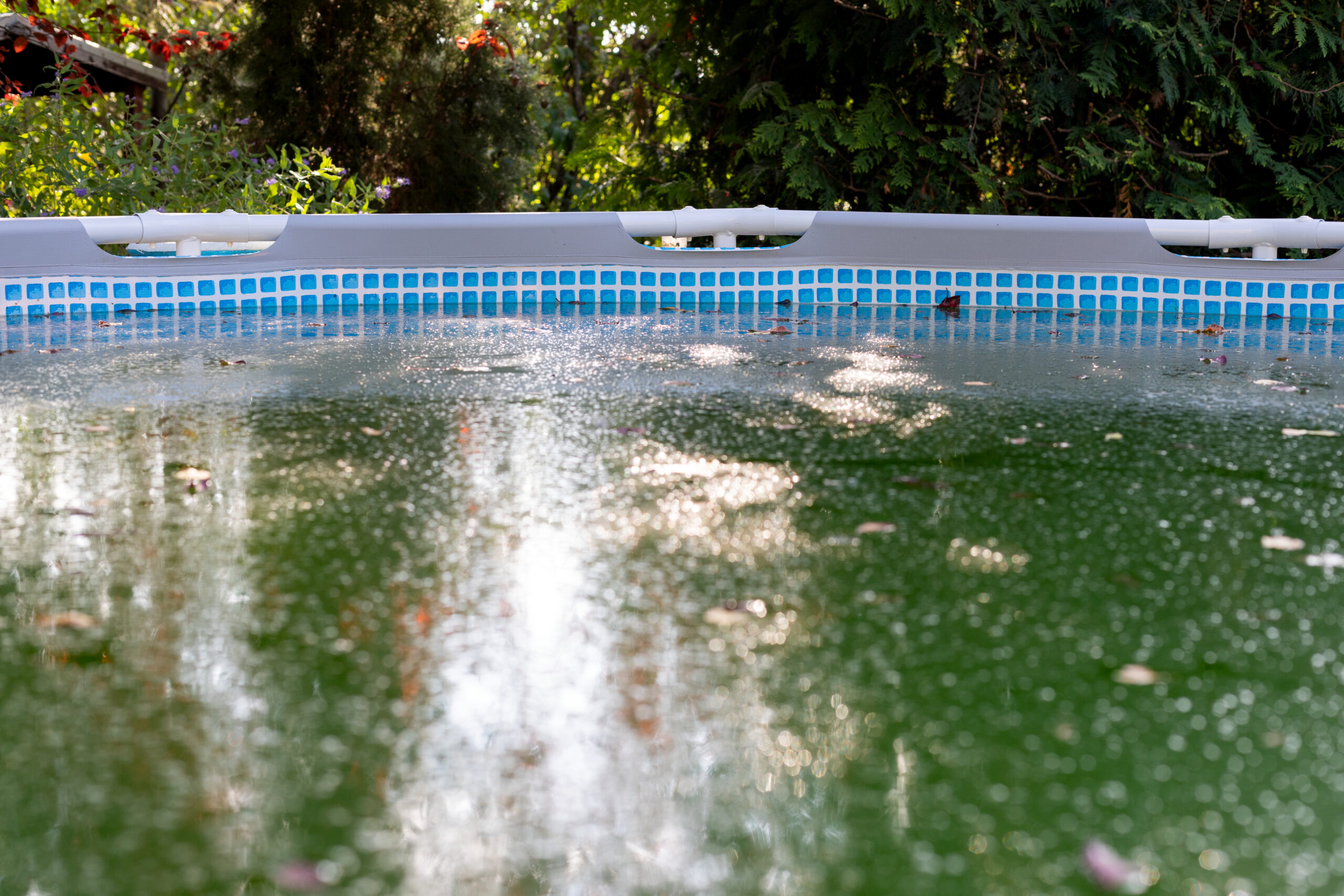 A dirty pool covered in leaves and overrun with algae, requiring thorough cleaning and maintenance.