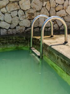 Swimming pool with green water